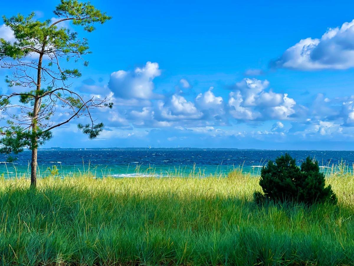 Goldmaedchen 93 - Beach House ทิมเมนดอร์เฟอร์ ชตรันด์ ภายนอก รูปภาพ